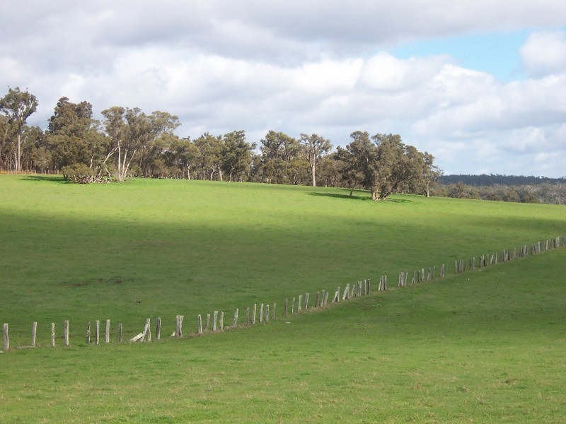 N.L 11724 JUNCTION ROAD, Manjimup WA 6258