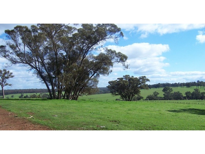 N.L 11724 JUNCTION ROAD, Manjimup WA 6258