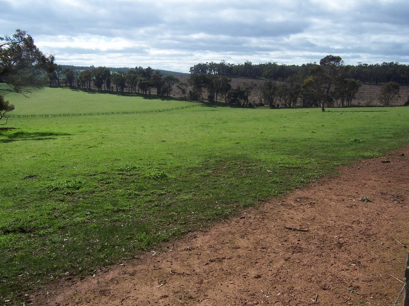 N.L 11724 JUNCTION ROAD, Manjimup WA 6258