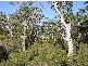 Northcliffe WA 6262