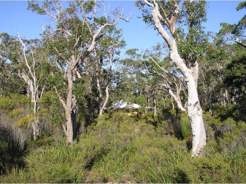 Northcliffe WA 6262
