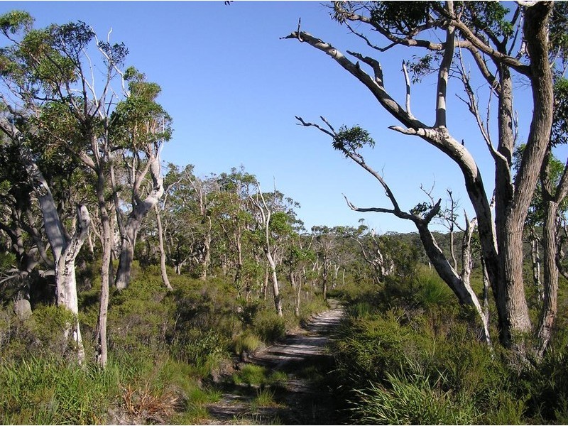 Northcliffe WA 6262