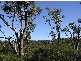 Northcliffe WA 6262