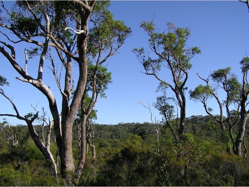 Northcliffe WA 6262