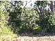 Northcliffe WA 6262