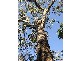 Northcliffe WA 6262