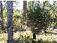 Northcliffe WA 6262