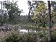 Northcliffe WA 6262