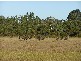 Northcliffe WA 6262