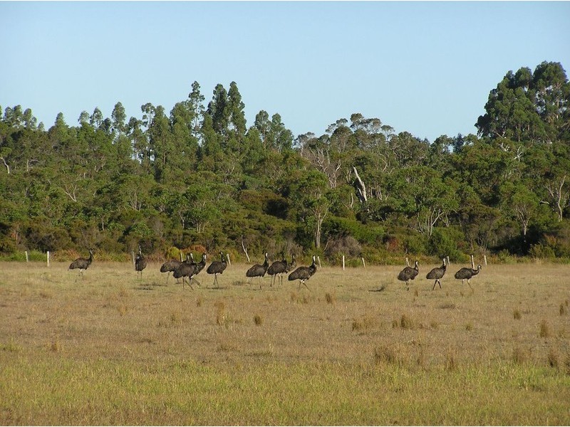 Northcliffe WA 6262
