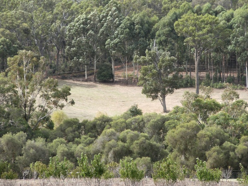 NL 3699 Junction Road, Manjimup WA 6258