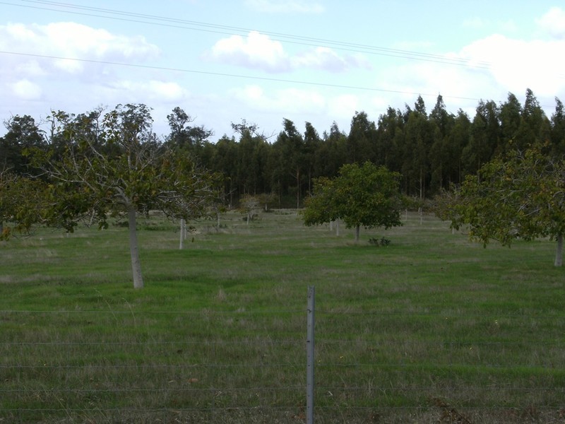 N.L. 12616 Ralston Road, Manjimup WA 6258