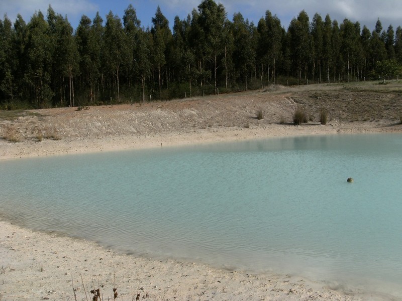 N.L. 12616 Ralston Road, Manjimup WA 6258