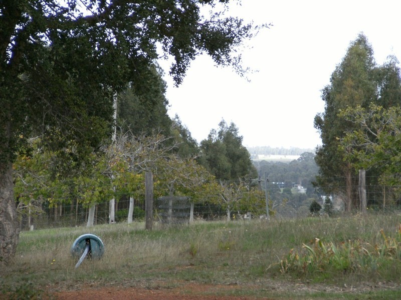 N.L. 12616 Ralston Road, Manjimup WA 6258