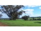 L11724 Junction Rd, Manjimup WA 6258