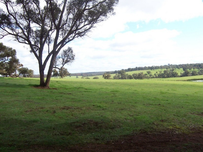L11724 Junction Rd, Manjimup WA 6258