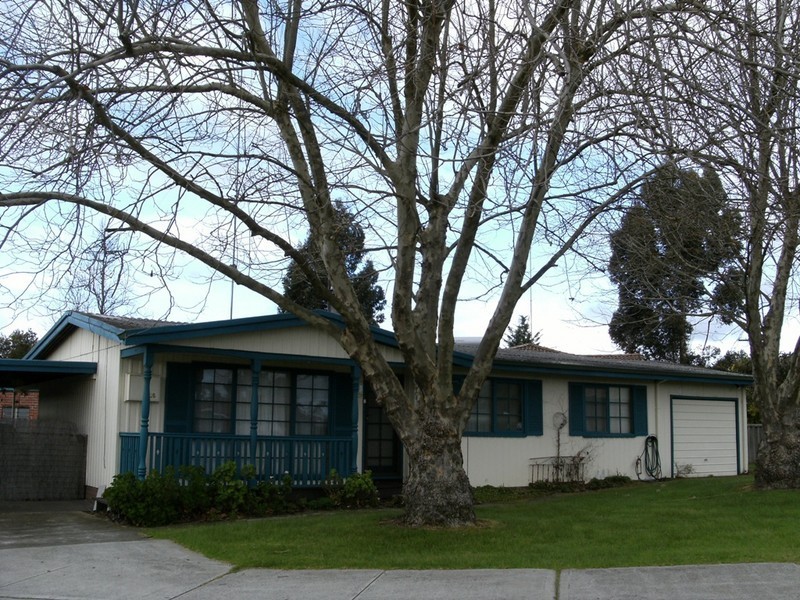 16 Needs, Manjimup WA 6258