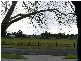 16 Needs, Manjimup WA 6258