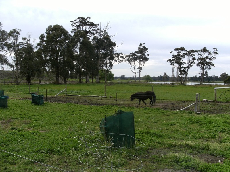 Lot 5 Becker Street, Manjimup WA 6258