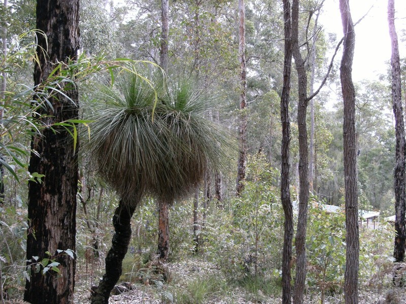 Lot 34 Karri Lane, Quinninup WA 6258