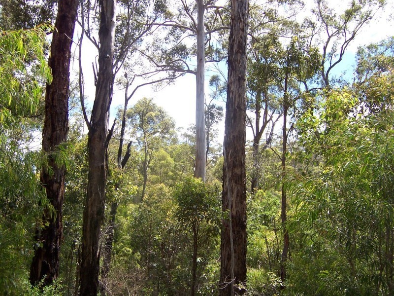 Lot 34 Karri Lane, Quinninup WA 6258