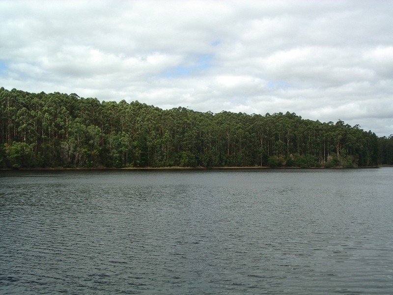 Lot 34 Karri Lane, Quinninup WA 6258