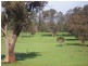 N.L. 7814 Postcode Road, Manjimup WA 6258