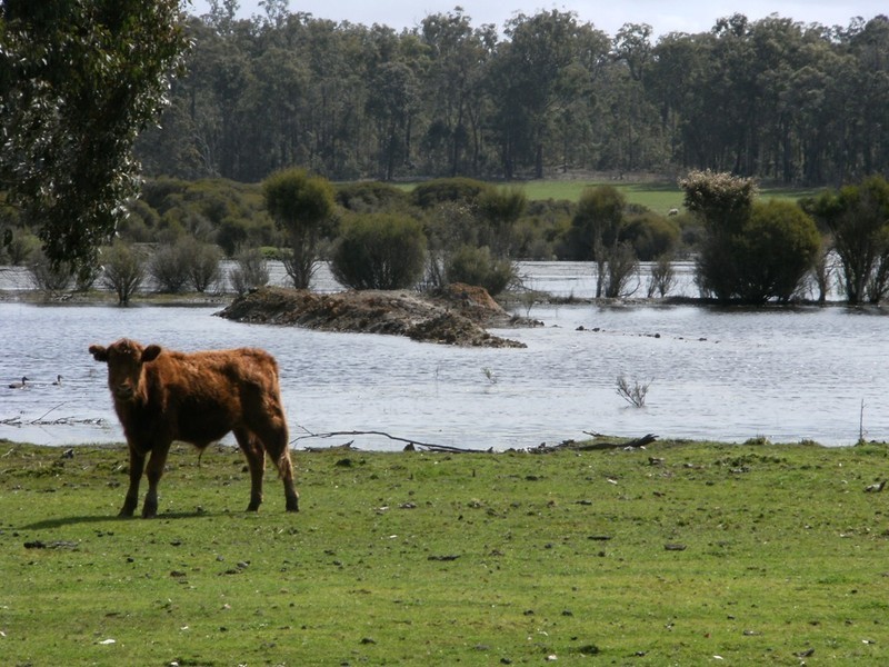 N.L. 7814 Postcode Road, Manjimup WA 6258