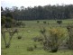 N.L. 7814 Postcode Road, Manjimup WA 6258