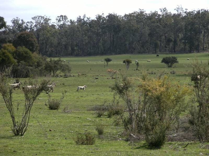 N.L. 7814 Postcode Road, Manjimup WA 6258