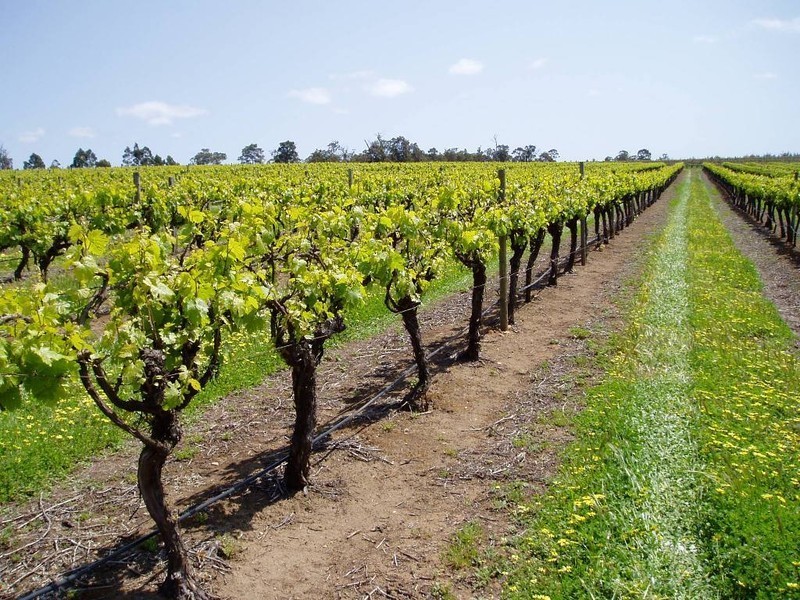 Lot 1 Graphite Road, Manjimup WA 6258