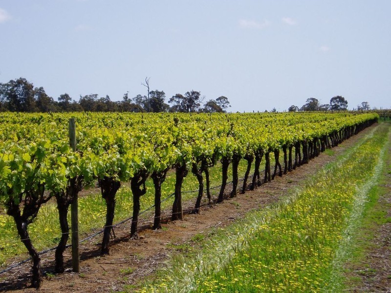 Lot 1 Graphite Road, Manjimup WA 6258