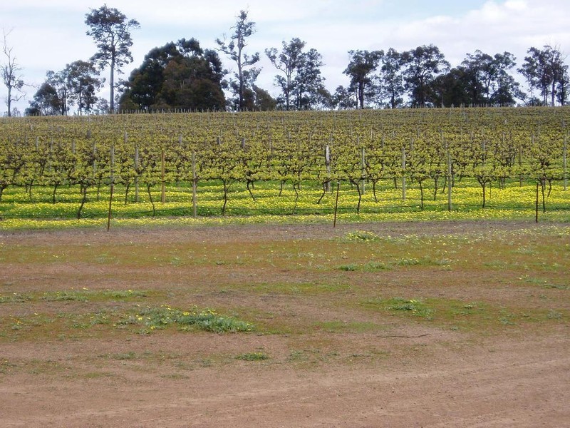 Lot 1 Graphite Road, Manjimup WA 6258