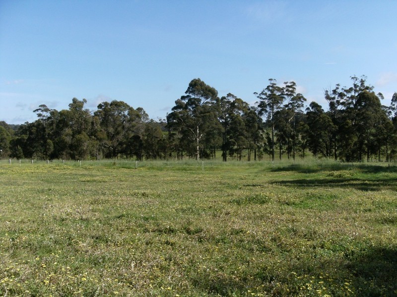 Lot 4 Muschamp Road, Manjimup WA 6258