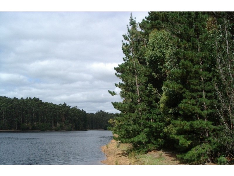 Lot 43 Karri Lane, Quinninup WA 6258