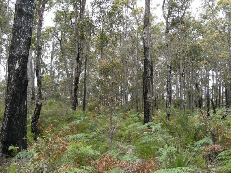 Lot 43 Karri Lane, Quinninup WA 6258