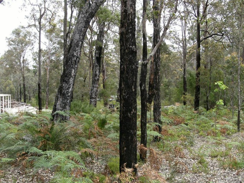 Lot 43 Karri Lane, Quinninup WA 6258