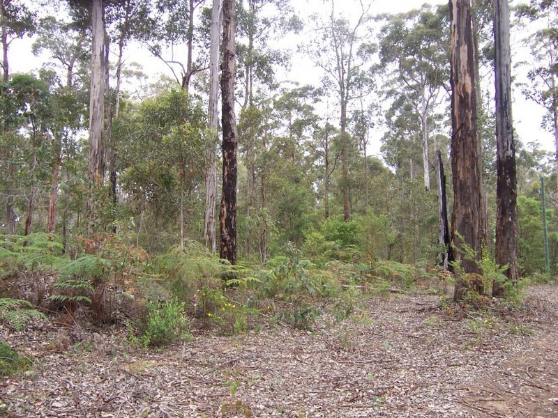 Lot 115 Karri Lane, Quinninup WA 6258