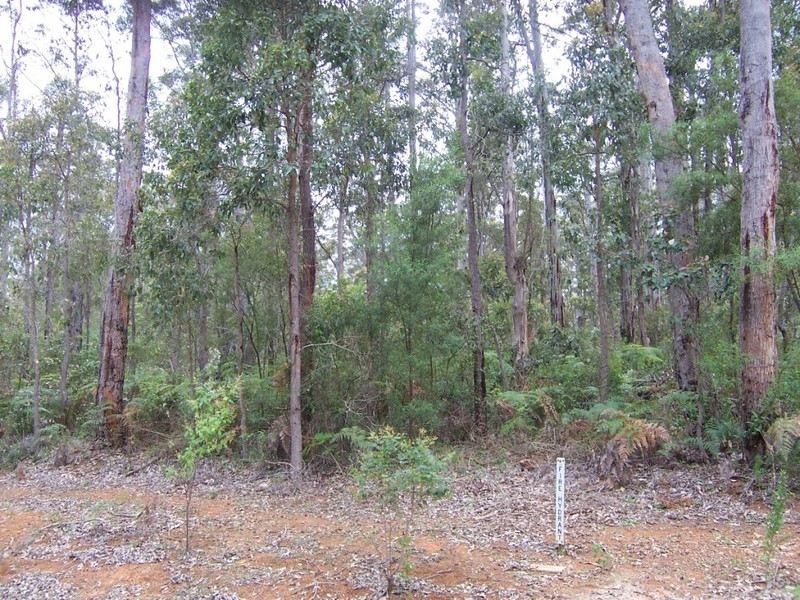 Lot 115 Karri Lane, Quinninup WA 6258