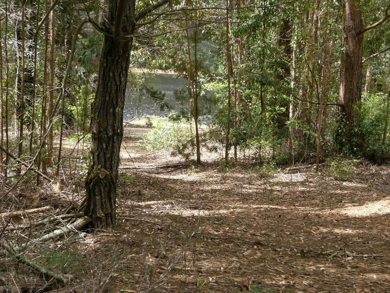 Lot 138 Karri Lane, Quinninup WA 6258