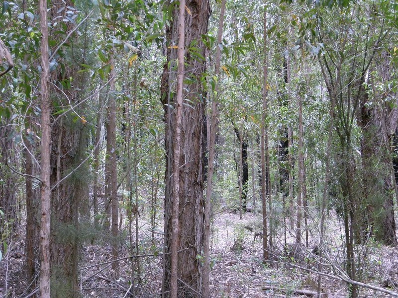 Lot 138 Karri Lane, Quinninup WA 6258