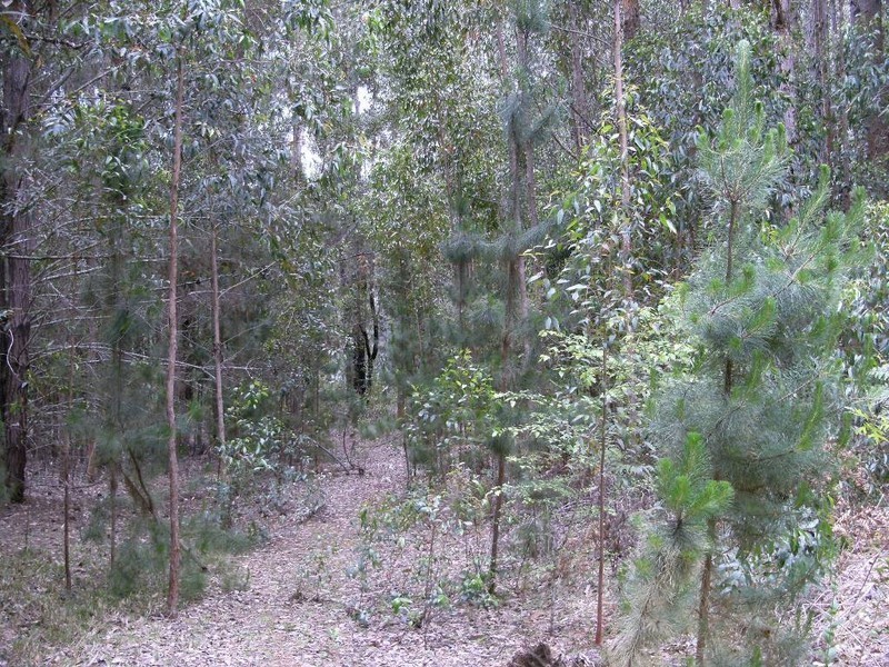 Lot 138 Karri Lane, Quinninup WA 6258