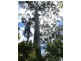 Lot 117 Karri Lane, Quinninup WA 6258