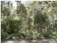 Lot 117 Karri Lane, Quinninup WA 6258
