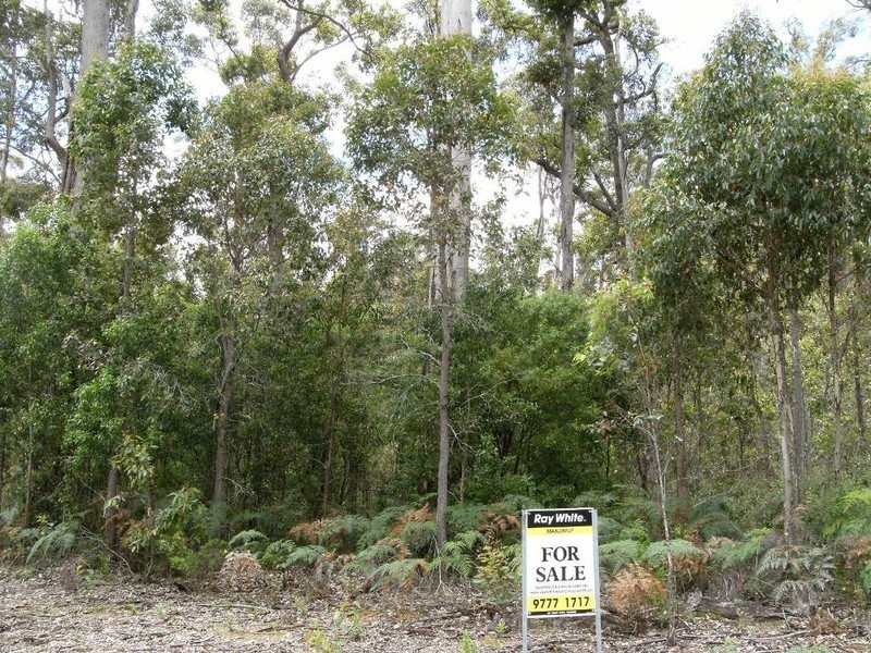 Lot 117 Karri Lane, Quinninup WA 6258