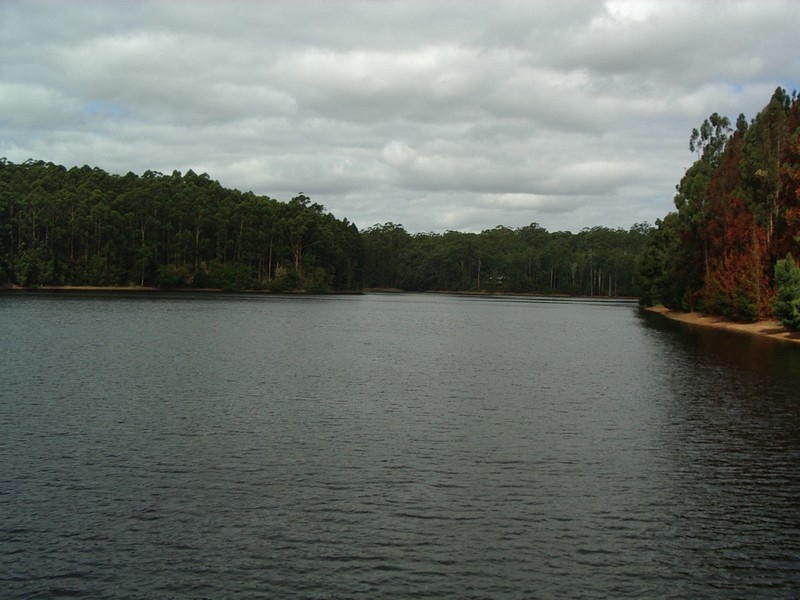 Lot 117 Karri Lane, Quinninup WA 6258