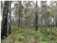 Lot 43 Karri Lane, Quinninup WA 6258