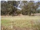 12 Junction Rd, Manjimup WA 6258