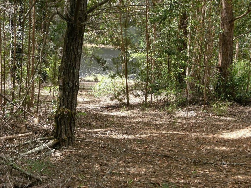 Lot 138 Karri Lane, Quinninup WA 6258