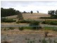 N.L. 9682 Bottomley Road, Manjimup WA 6258